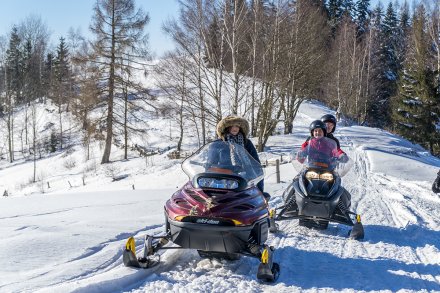 Snowmobiles